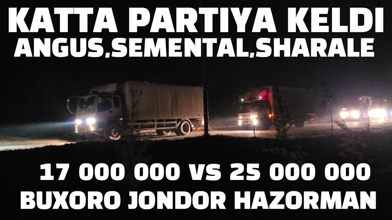 200 BOSH HOʻKIZCHALA KELDI BUXRO JONDOR HAZORMAN 05.03.2026