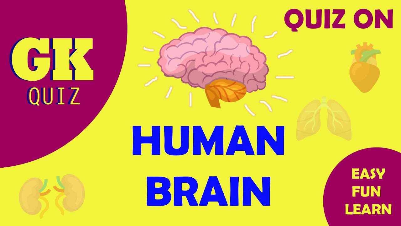 Gk Quiz on Human Brain | Insaan ke dimag par quiz | Human Body detail series