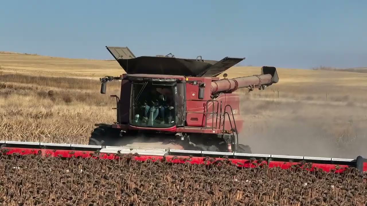 FIRST 50ft Sunflower Header in the USA!! Largest in the world!