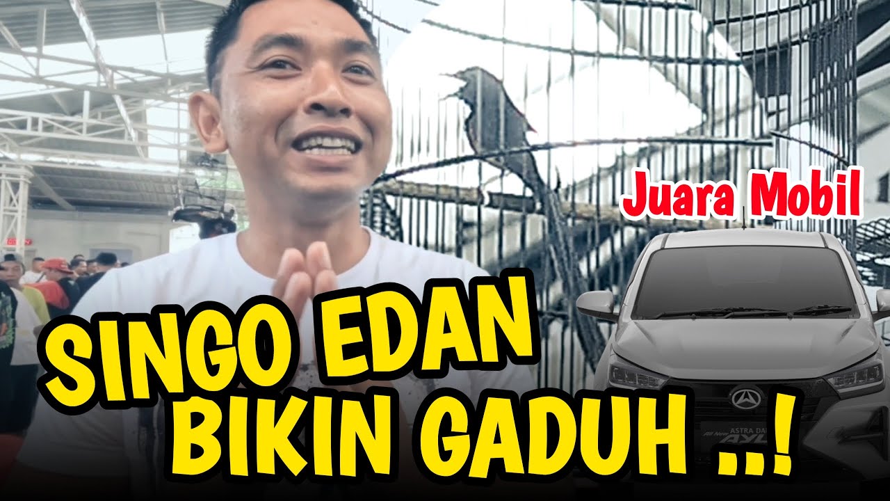 SINGO EDAN JUARA MOBIL ‼️ LANGSUNG PECAH GANTANGAN GAGAK SAKTI