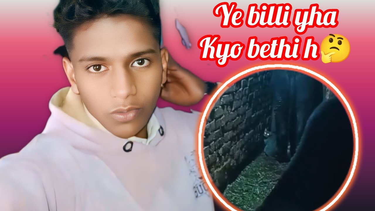 Ye billi chuhe khane ke liye  😮 apni jaan lo fav pe lga ke bethi h