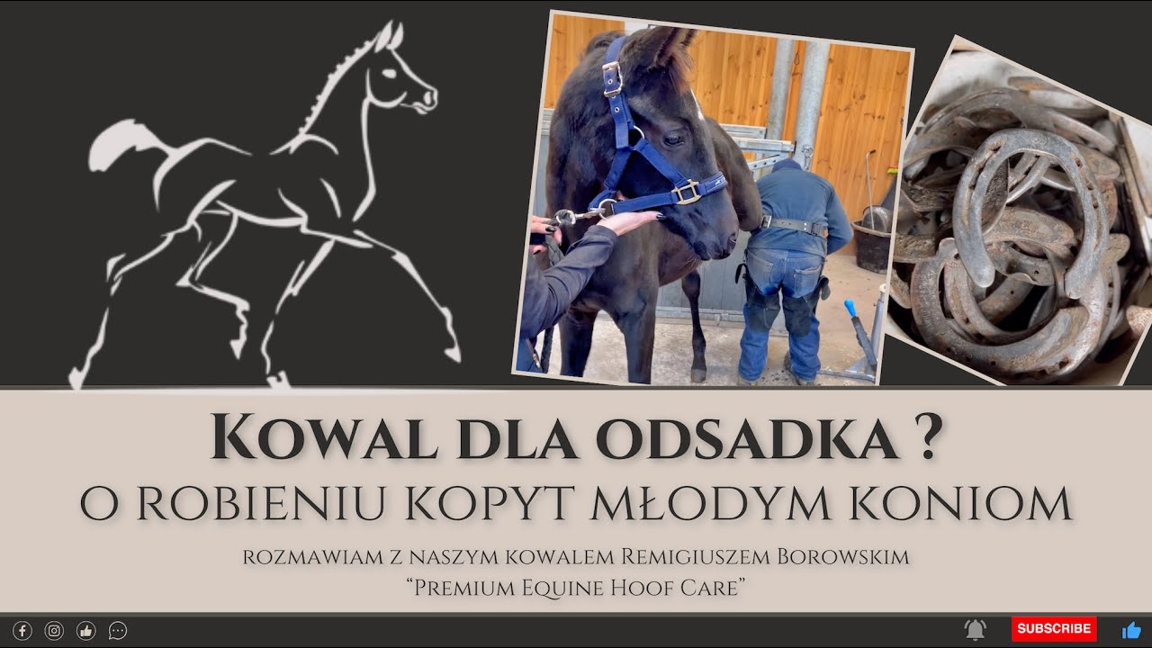 Kowal dla odsadka? O robieniu kopyt młodym koniom rozmawiam z Remkiem Borowskm