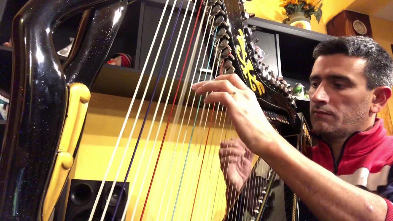 Merceditas - Chamame en Arpa