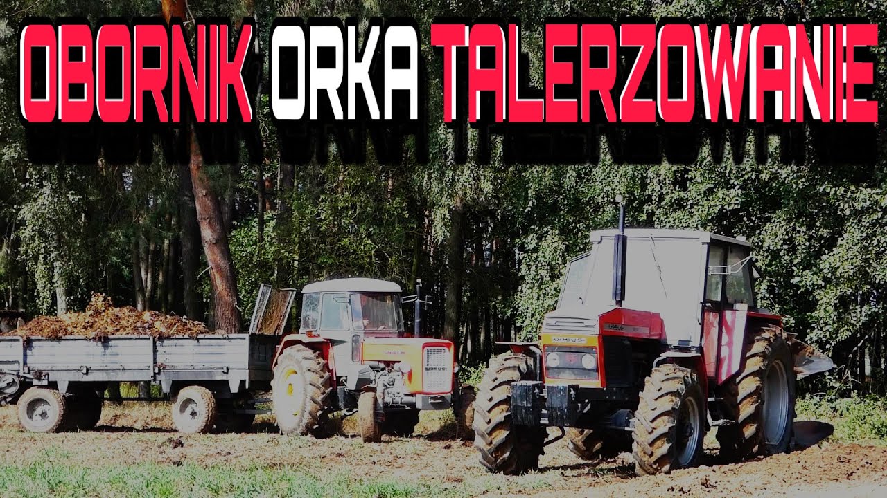 🔥Obornik Orka Talerzowanie🔥Pierwsze Testy Same🔥Czyli Jesienne Prace 2024🔥Ursus 1224&C360, Same🔥