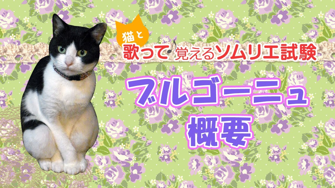 【ブルゴーニュ概要】猫と歌って♪覚えるソムリエ試験