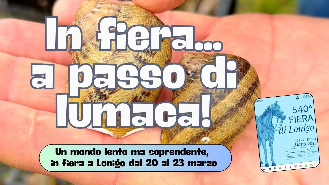 IN FIERA... A PASSO DI LUMACA!