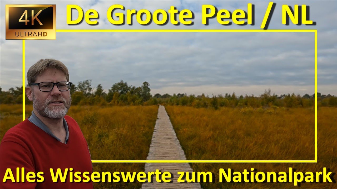 Nationalpark De Groote Peel in den Niederlanden: Alle Sehenswürdigkeiten