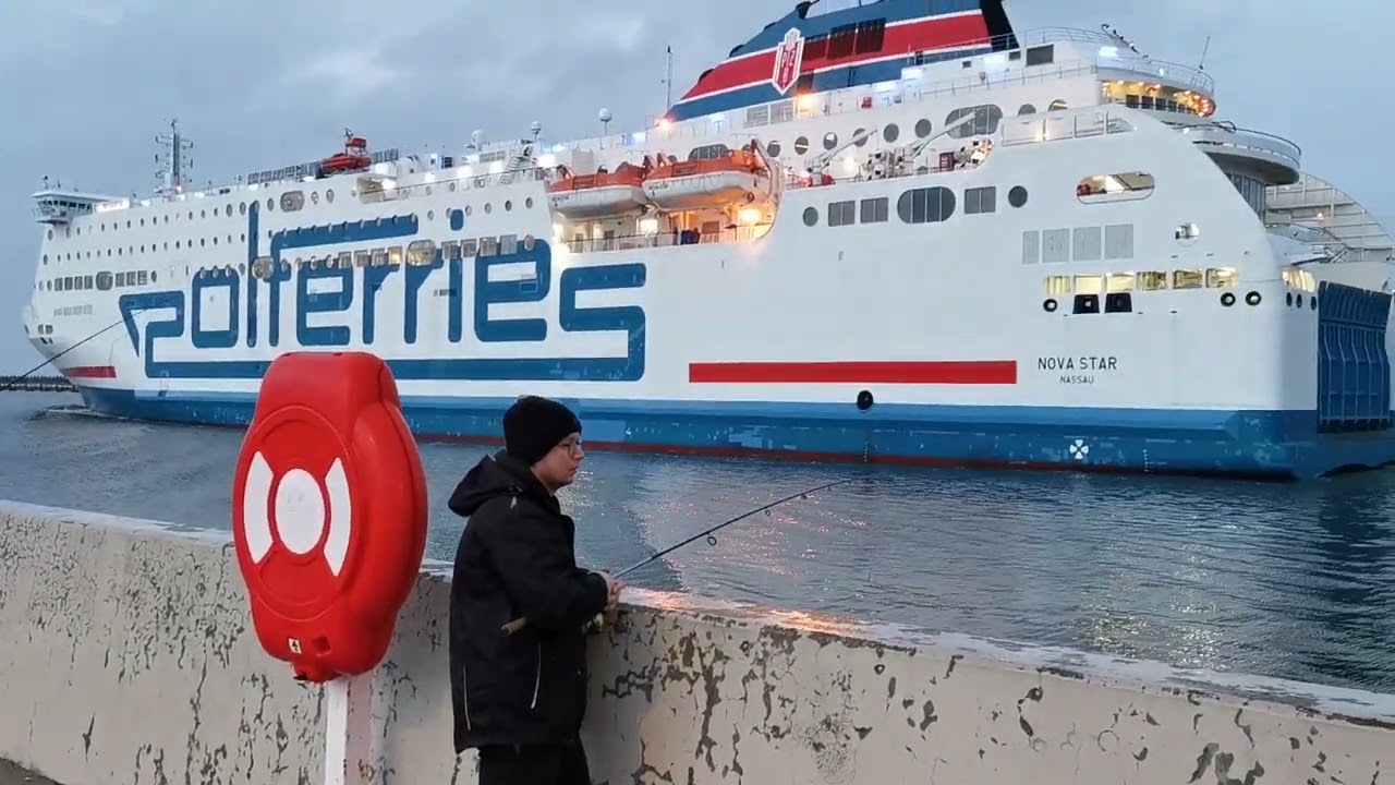 ŚLEDZIE 2024 - pełne wiadro ustukasz, prom Polferries. Wędkarstwo w porcie (Gdańsk 22.3.2024)