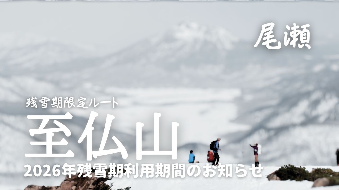 残雪期【尾瀬】2026年 至仏山 期間限定ルート！