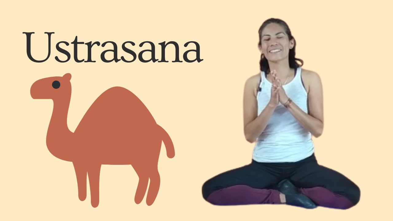 Clase No. 4: Ustrasana