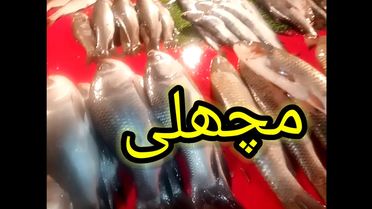 Board bazar machli lene A aye ho%👌🏾%mom in charsadda pasto daily vlog%