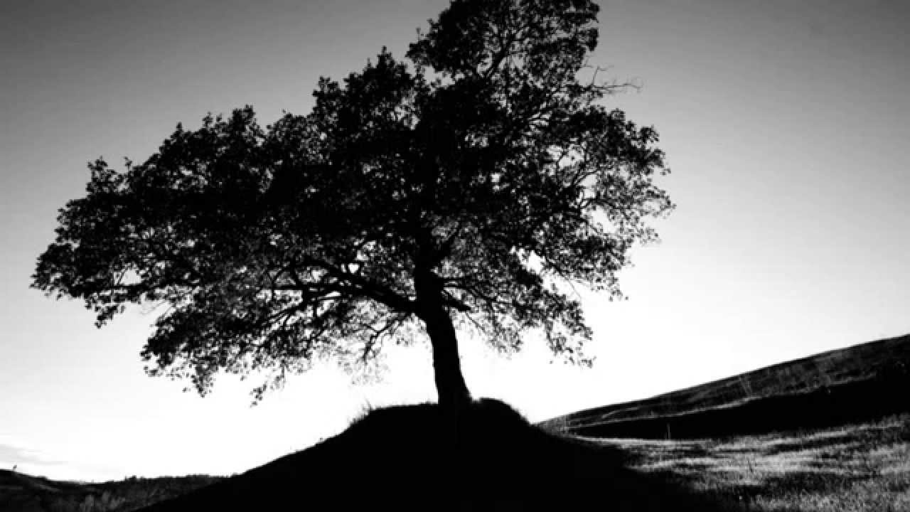 Healing Trauma Recovery - Guided Meditation for Relaxation, PTSD, Anxiety and Sleep