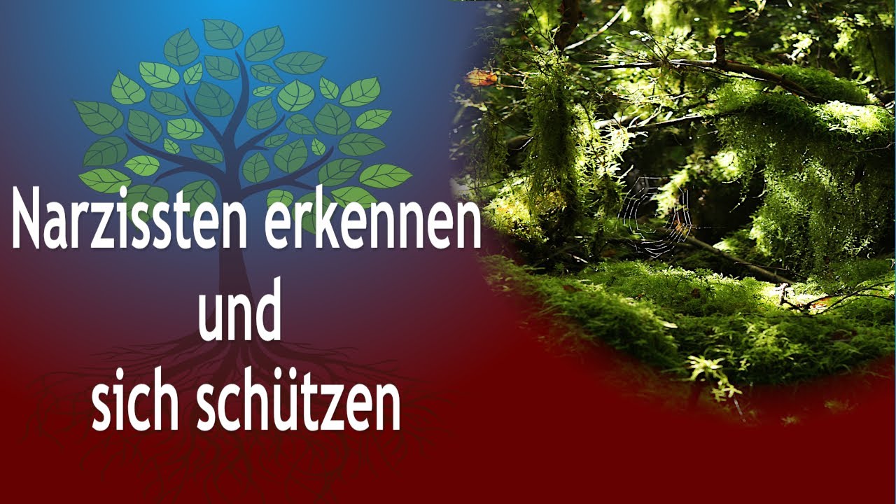 Narzissten erkennen und sich schützen
