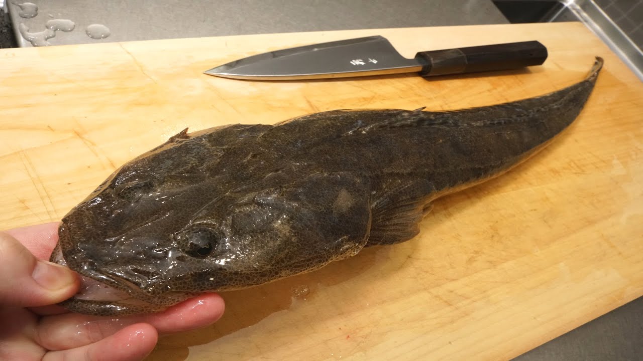 マゴチの捌き方と唐揚げの作り方「夏のフグとよばれるほど美味しい」