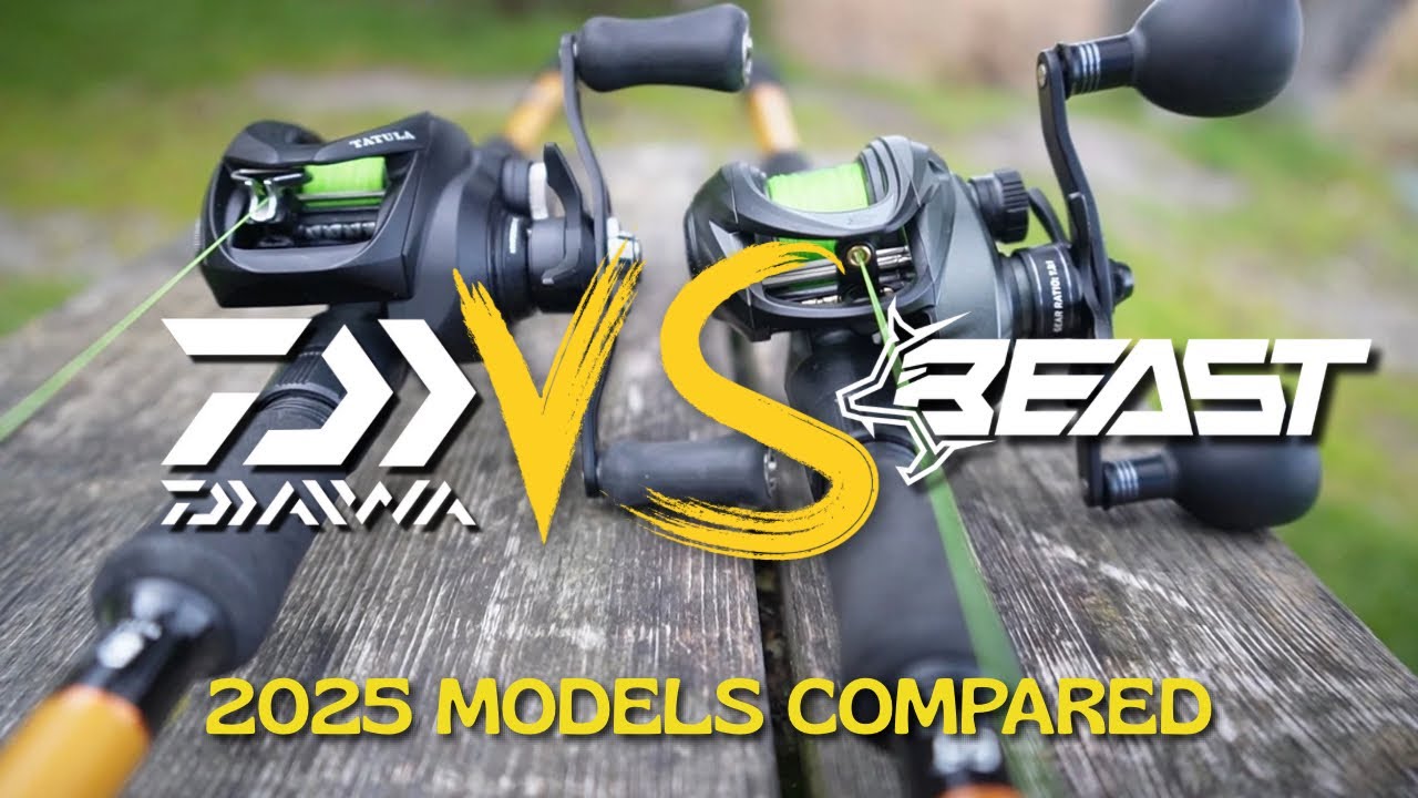 2025 DAIWA TATULA 200 против ABU BEAST 200