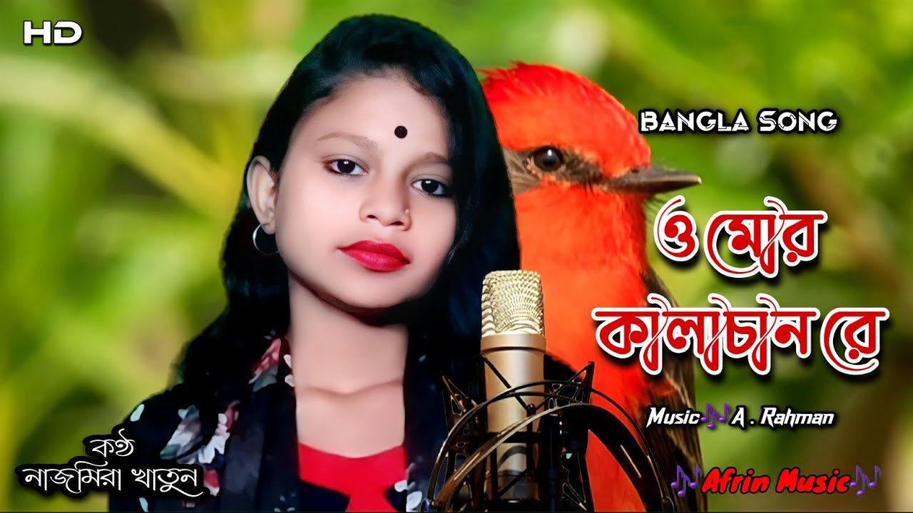 O Mor Kalachan Re । ও মোর কালাচান রে । Najmira Khatun । Bangla Song । বাংলা গান। Afrin Music । 2022