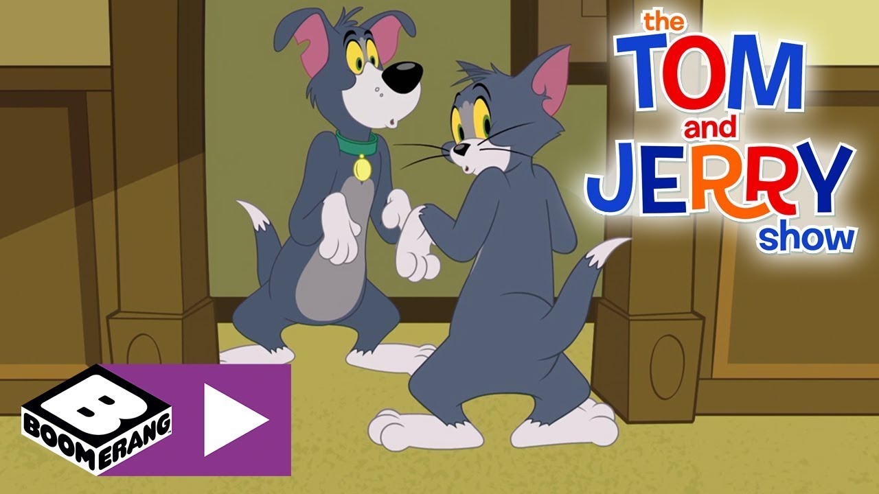The Tom and Jerry Show | Tom the Dog and Jerry the Cat | Boomerang UK