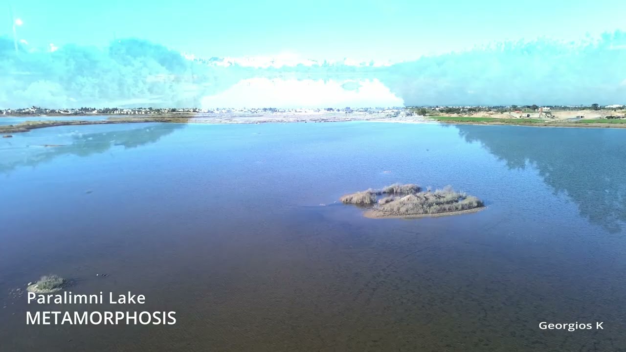 METAMORPHOSIS - Paralimni Lake  2025