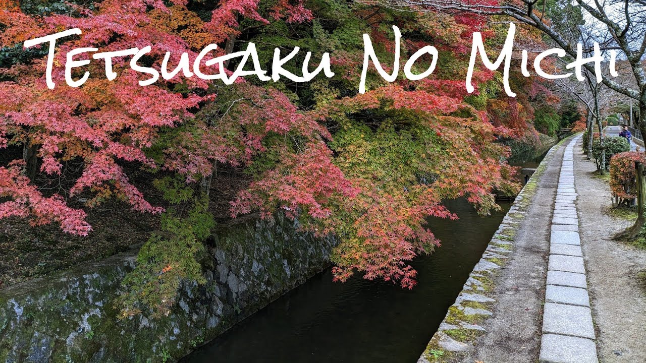 Tetsugaku No Michi (Philosophers Walk): Kyoto, Japan!