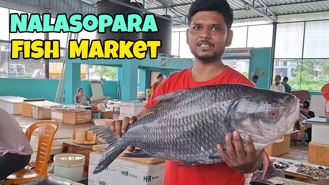 NALASOPARA FISH 🐟 मार्केट | हर  तरहा की मछली मिलेगी Reasonable price में || #fishvideo  #viralvideo