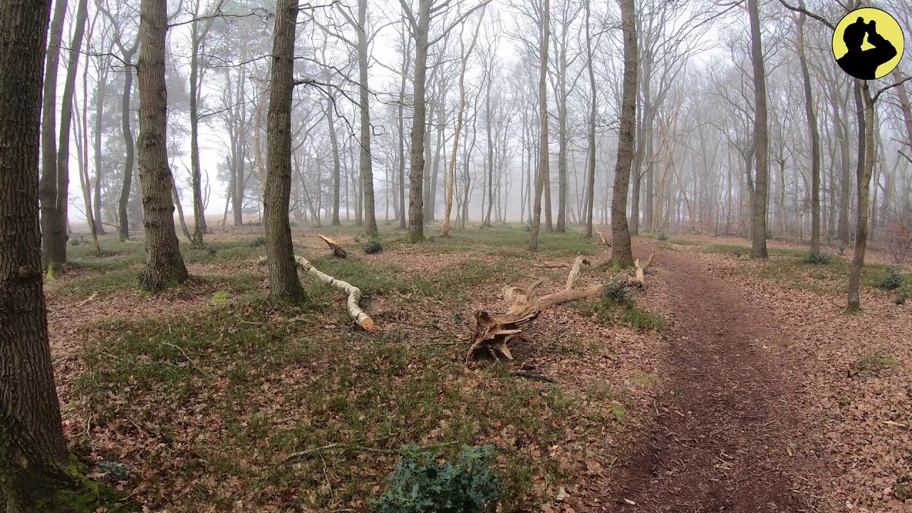 Wandeling de Klencke (Drenthe) met mist.