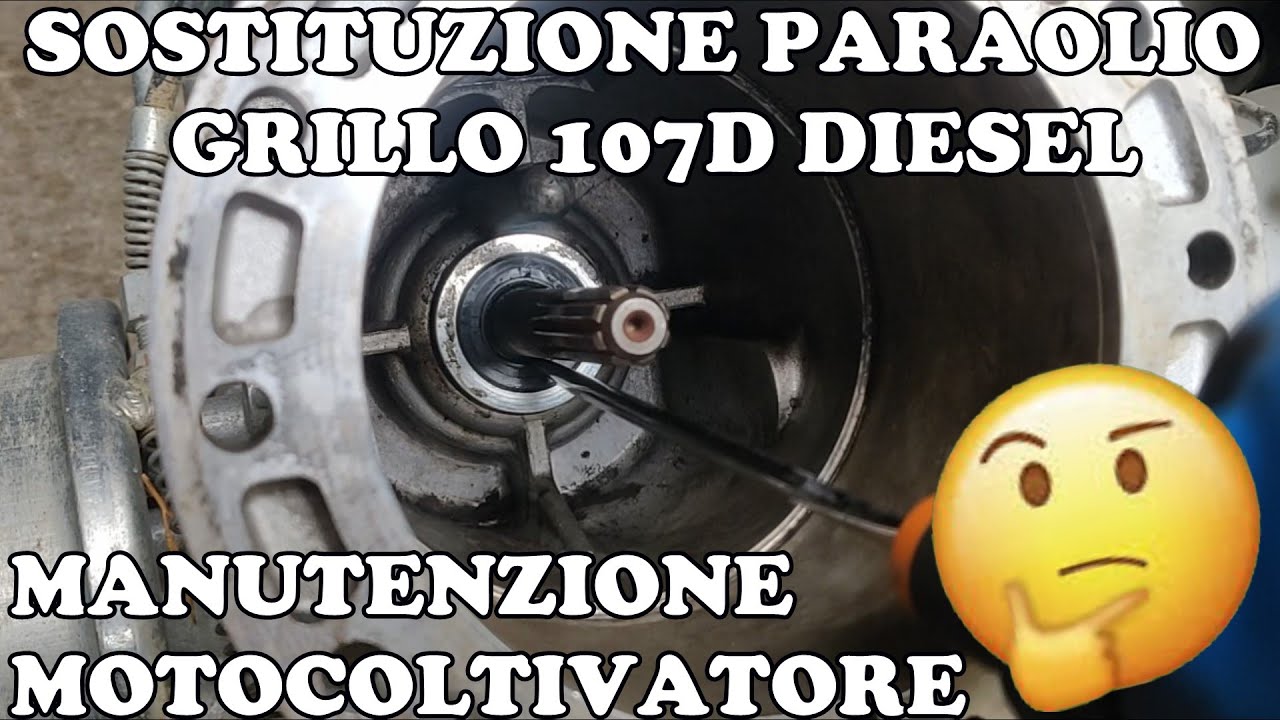 Come Sostituire Paraolio cambio lato frizione Motocoltivatore Grillo 107d