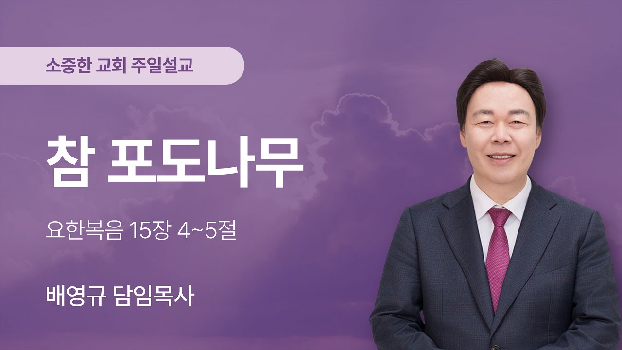 [주일예배] 참 포도나무 | 배영규 목사 | 소중한교회 | 2026-02-08