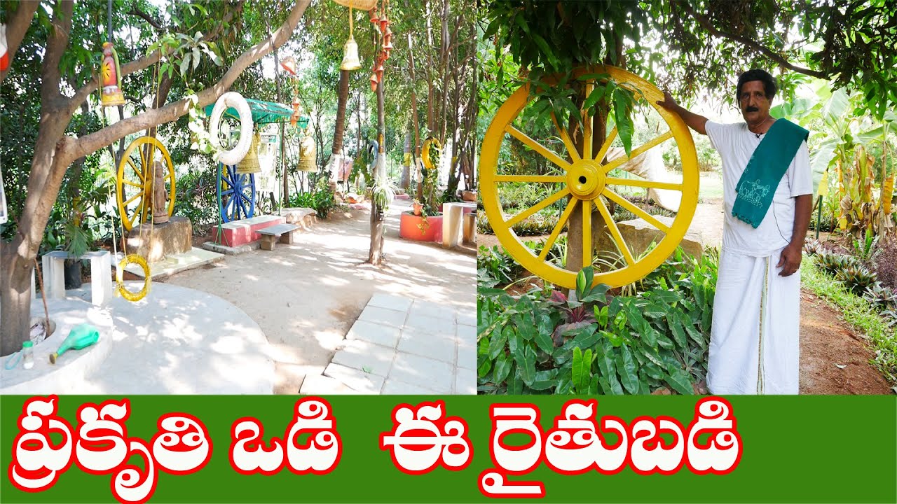 E22 | సమగ్ర సుస్థిర వ్యవసాయ క్షేత్రం | Highest Paddy Yield | Nagaratnam Naiudu | @GramaBazaar