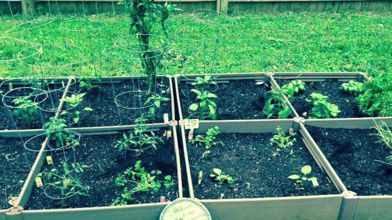 Nana&rsquo;s Garden