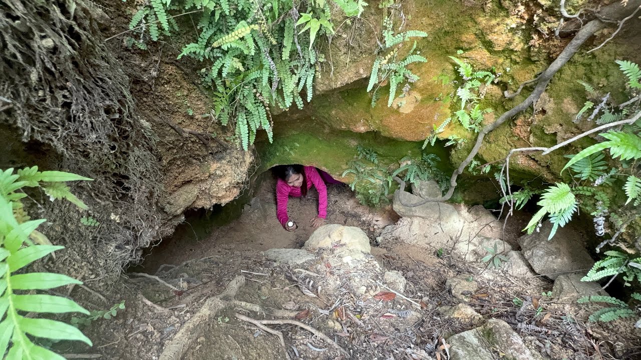 Hike LING KOK SHAN via YUNG SHUE WAN featuring JAPANESE TUNNEL 