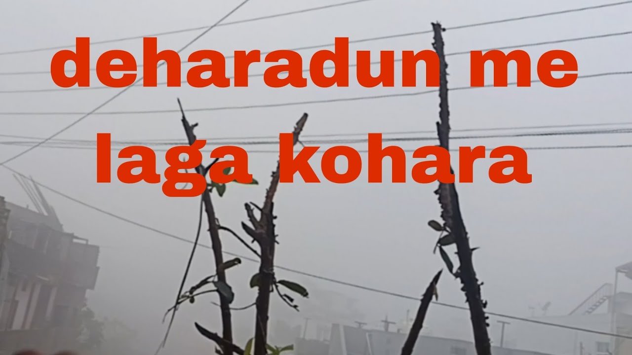 Dehradun mein Laga kohara