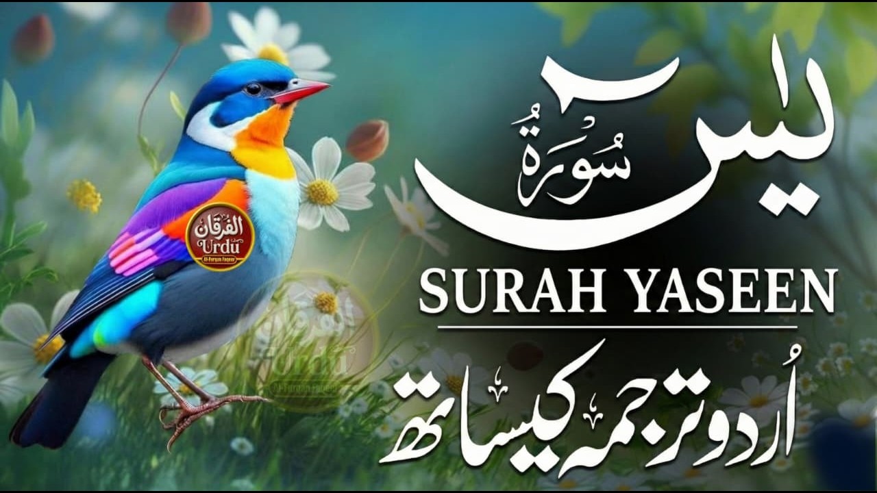 Surah Yasin | Surat Yaseen with Urdu Translation | Quran Tilawat Beautiful Voice | Hindi Tarjuma