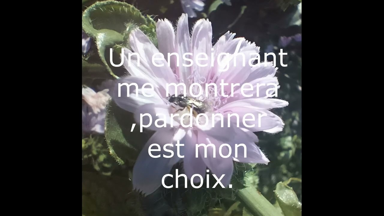 Répétition du pardon.