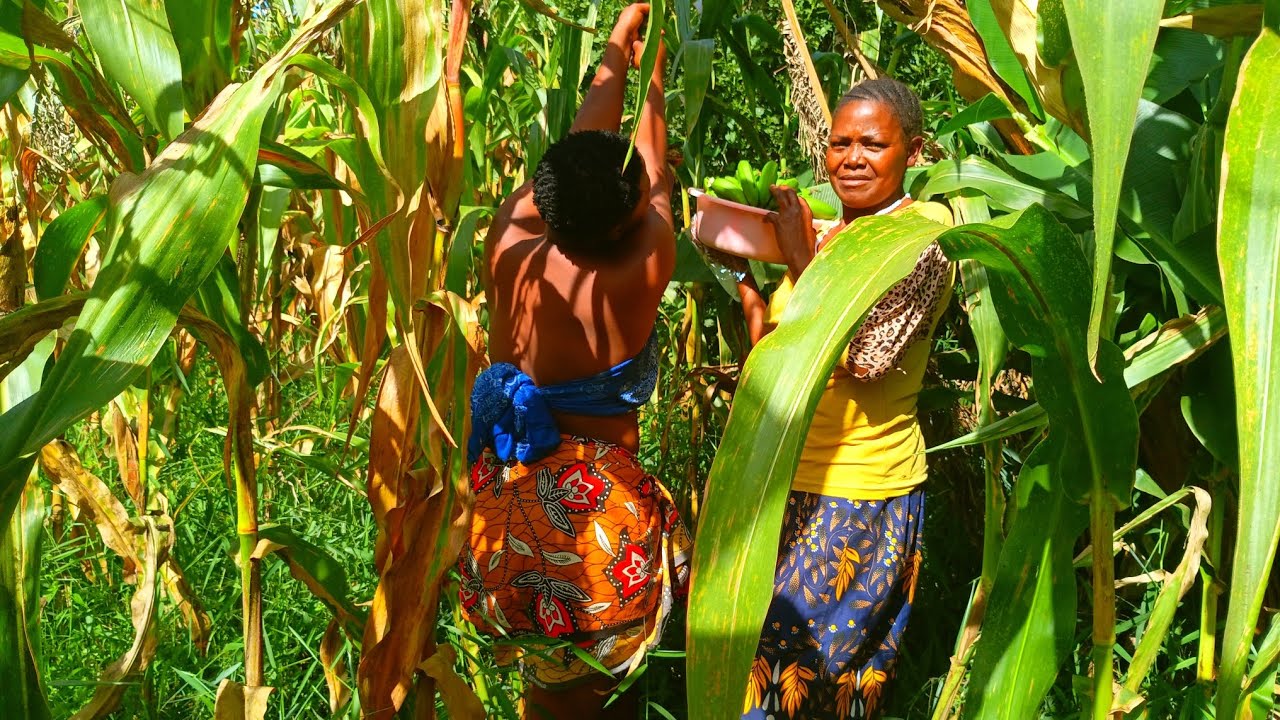 One love with my African mum preparing African matoke#African village life