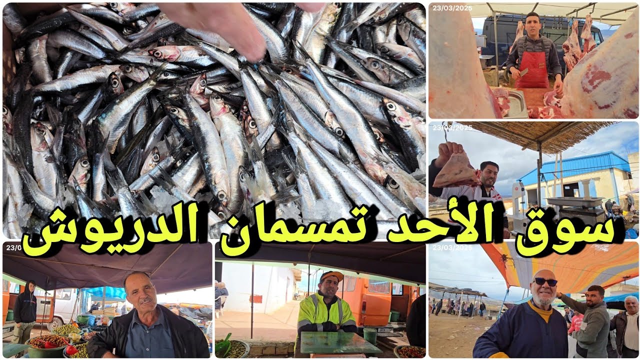 سوق الأحد تمسمان إقليم الدريوش،أثمنة وجودة الحوت خرجت عن النطاق🔥🔥