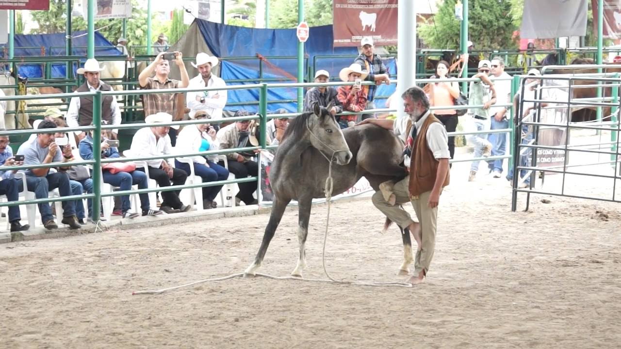 Chico Ramirez Encuentro San Luis 3 de 6