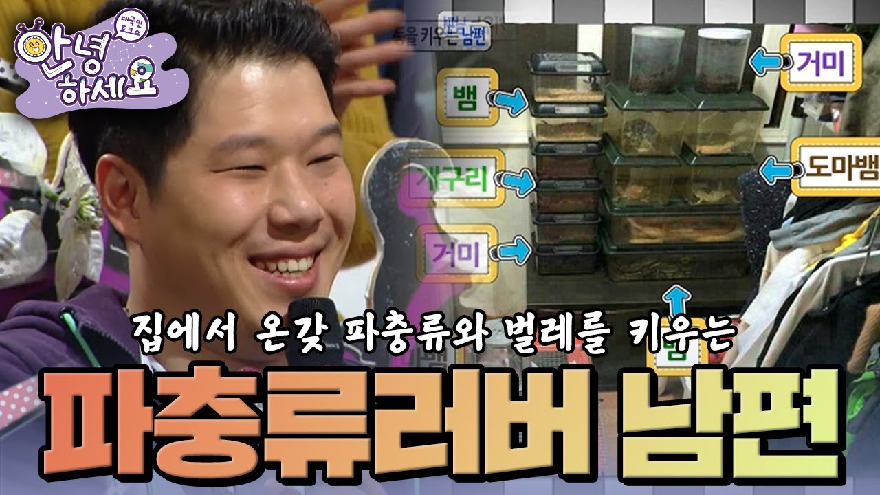 집에서 온갖 파충류, 거미 등을 키우는 남편  [안녕하세요] | KBS 140804 방송