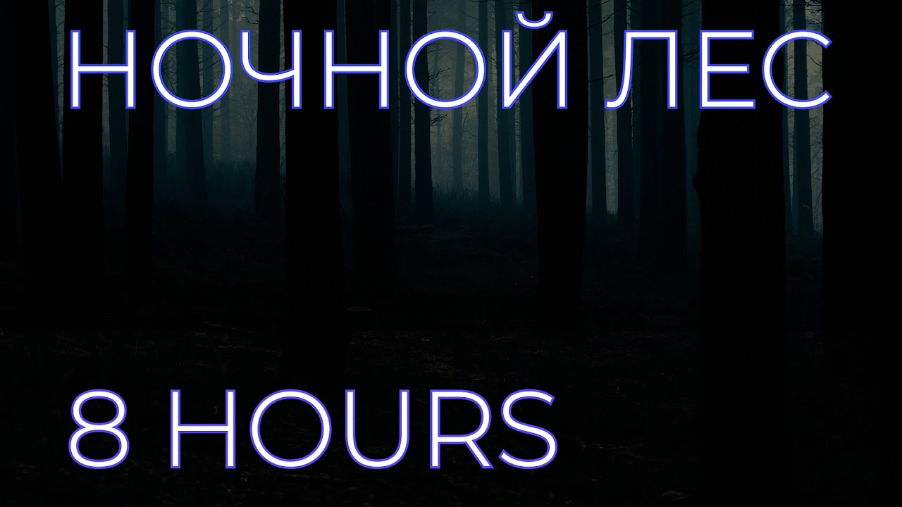 Ночной лес, сверчки, сова, музыка для сна, релакса.