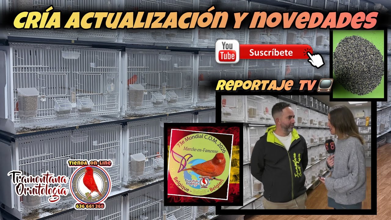 Estado actual del Aviario en pre cría y preparación con reportaje en TV .