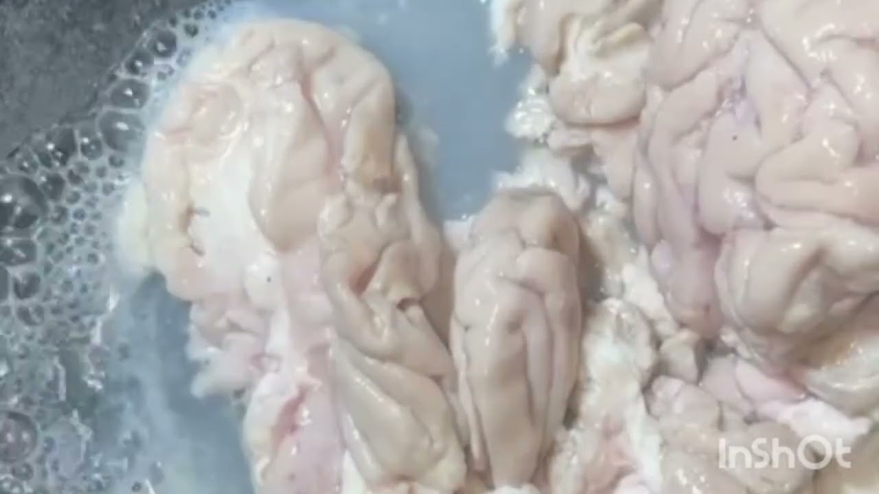 Bakaray ka 🧠  brain masalar recipe