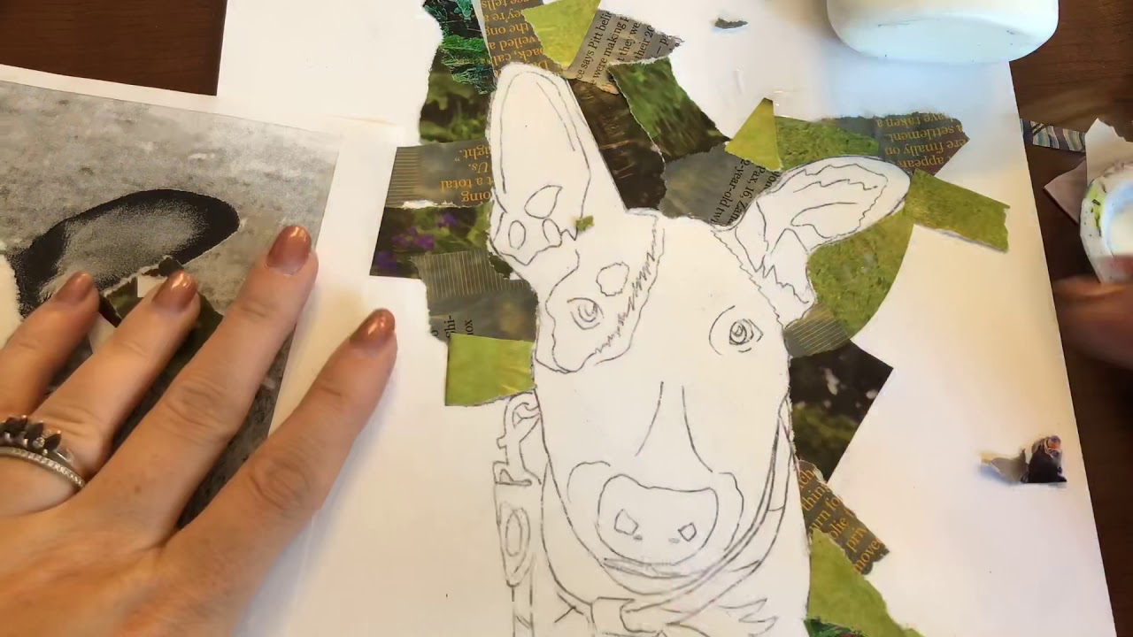 Collage pet portrait