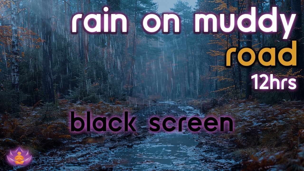 [Black Screen] Rain on Muddy Road No Thunder | Rain Ambience | Rain Sounds for Sleeping