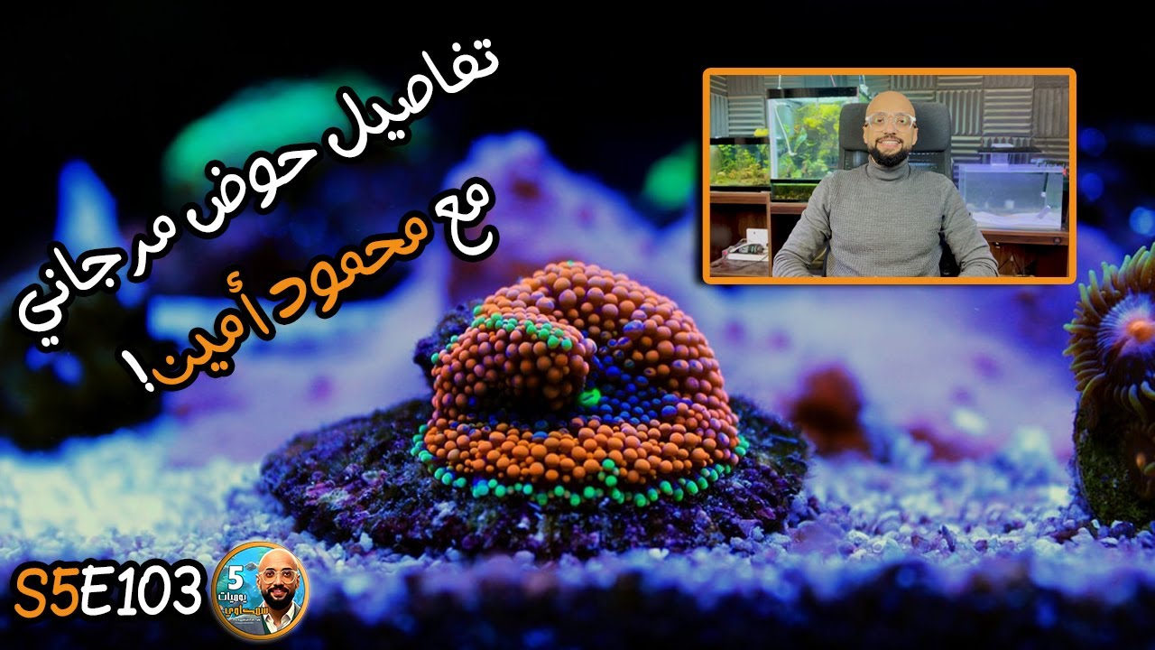 S5E103 - تفاصيل حوض مرجاني مع محمد أمين