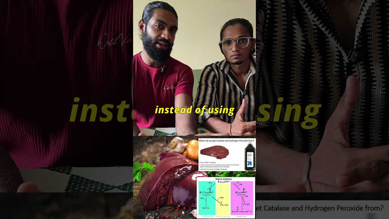 &ldquo;Goat Blood Benefits Explained 🩸 | Natural Stamina Booster or Old-School Myth?&rdquo;