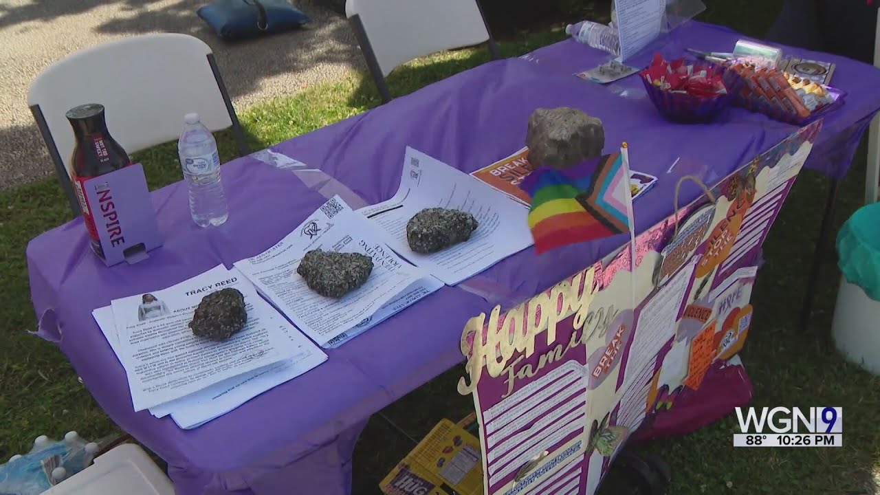 Chicago's Bronzeville Family Fest brings community together despite heat