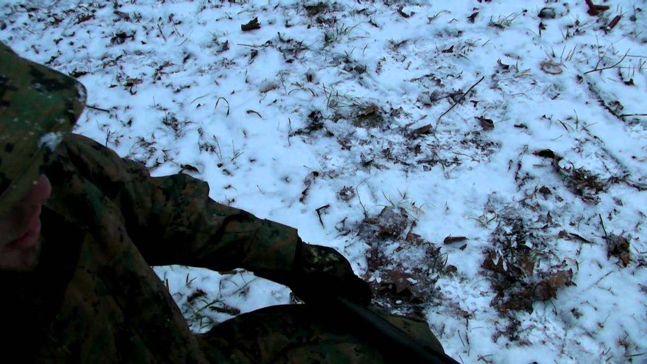 Adjusting Ghost Ring Sights on Mossberg 500 / 590 Shotgun
