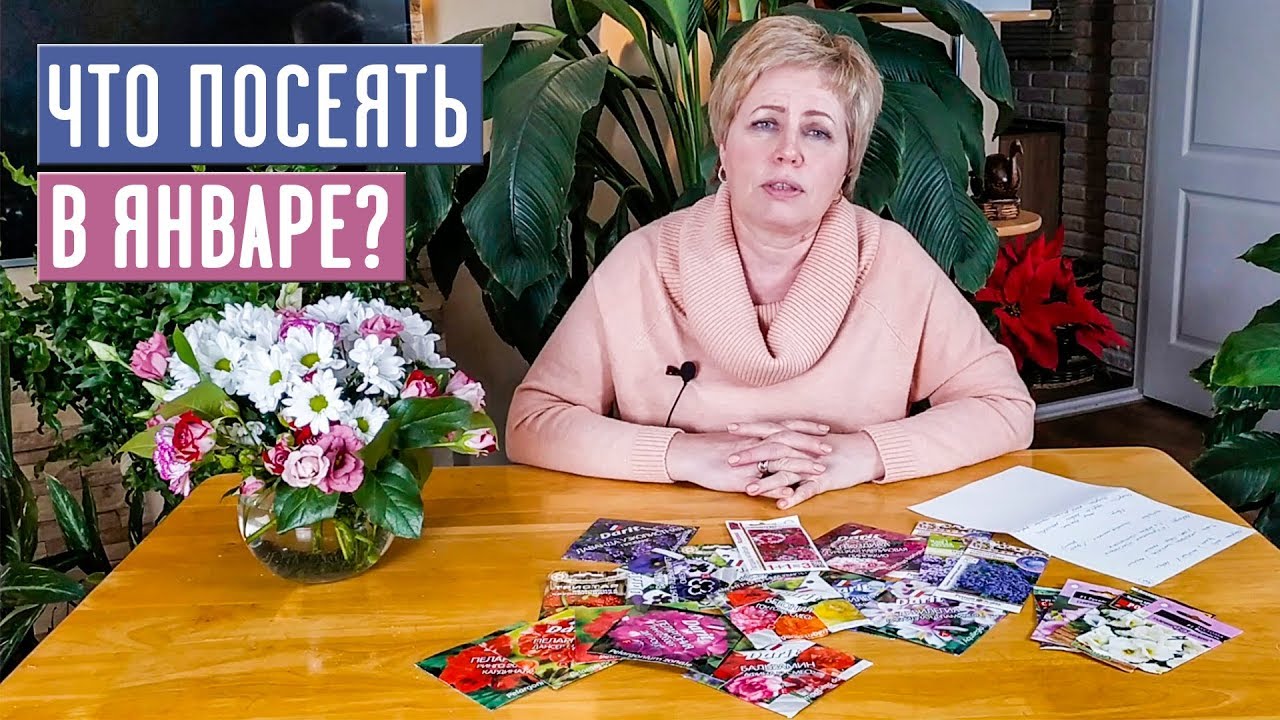 НАСТУПИЛ ПОСАДОЧНЫЙ СЕЗОН!!! ЧТО ПОСЕЯТЬ В ЯНВАРЕ? / Садовый гид садовый гид