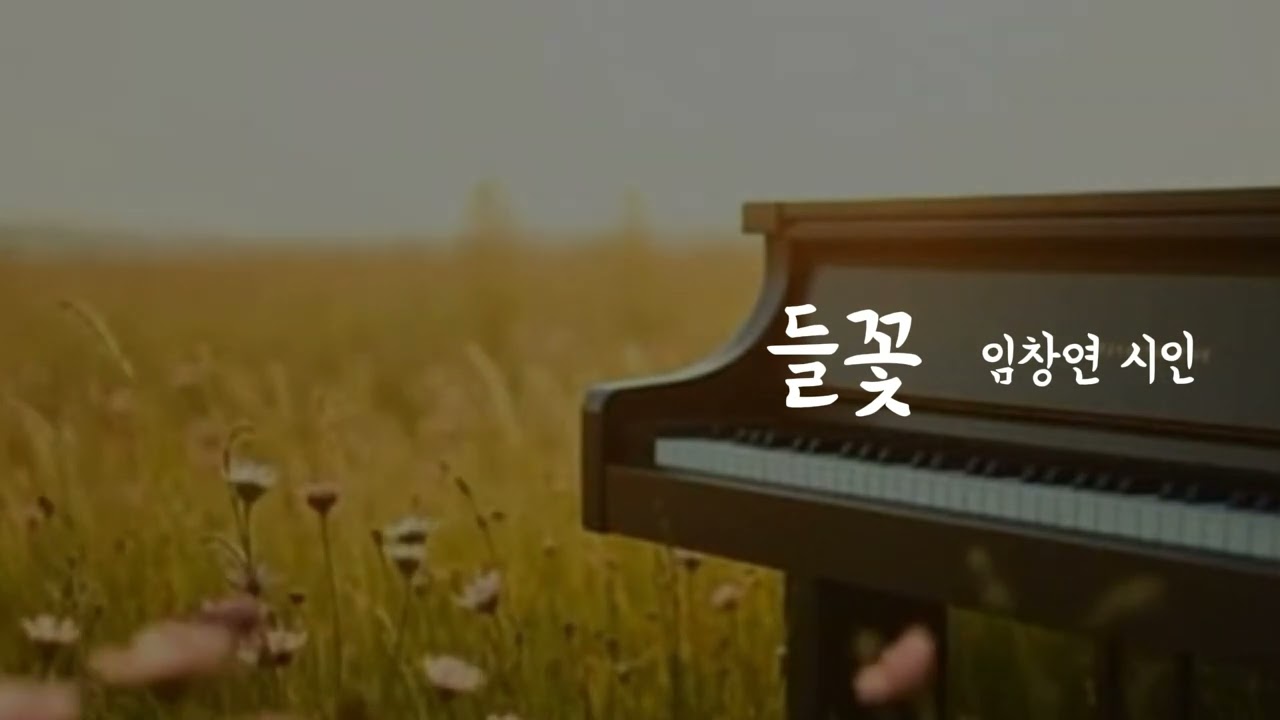 🎵 