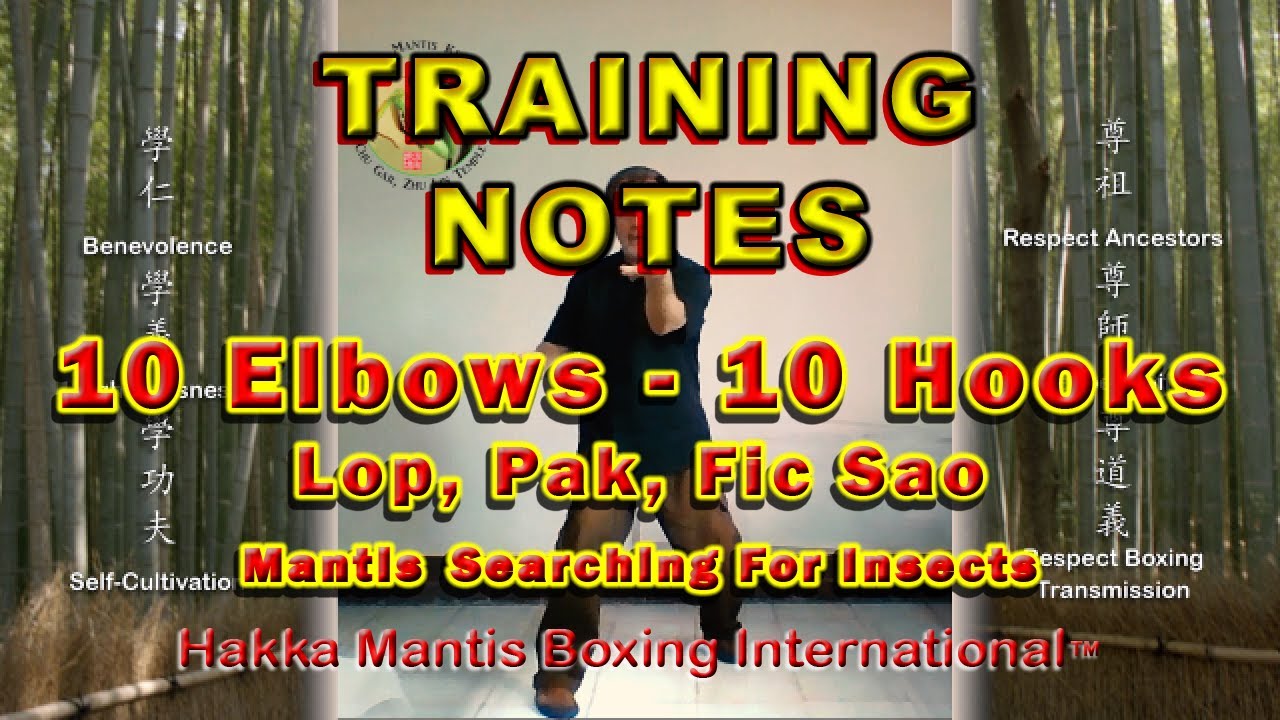 10 Elbows 10 Hand Hooks Short Course Training Note