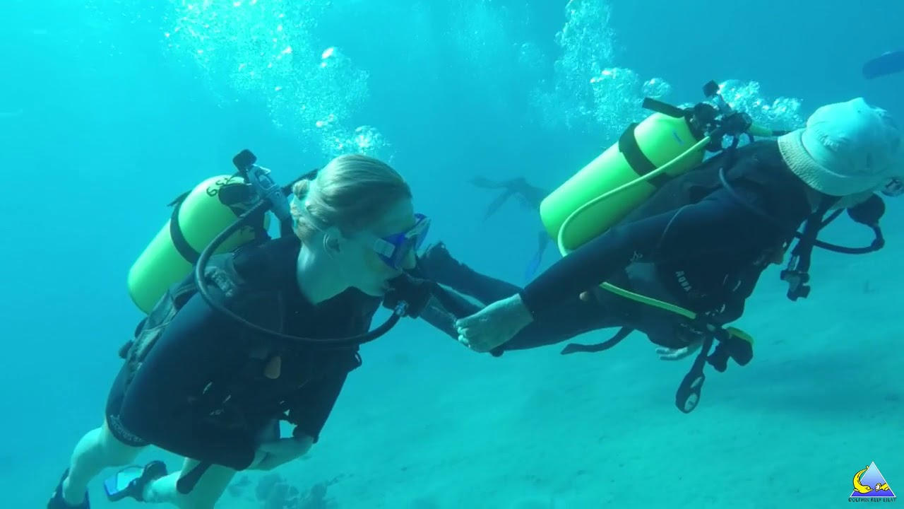 Scuba Diving in Dolphin REEF - Eilat, Israel